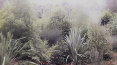 20200915_105016_2.png