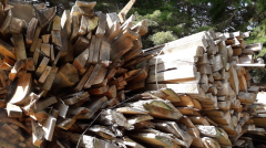 Firewood_bundles_ready_to_cut.png