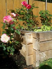 gardenbox4.jpg